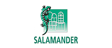 Окна из профиля Саламандер